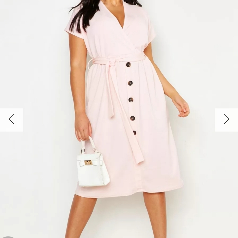 Plus Size Blush Color Dress